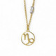 Horoscope capricorn crystal necklace in gold plating image
