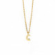 Celeste moon crystal necklace in gold plating image