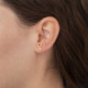 Areca venus crystal earrings in gold plating cover