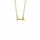 Areca arrow crystal necklace in gold plating