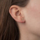 Dakota airplane crystal earrings in gold plating cover