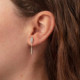 La Boheme stick crystal earrings in silver cover