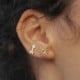 Areca lightning crystal earring in gold plating cover
