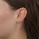 Areca cloud crystal earrings in gold plating cover