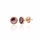 Pink Gold Earrings Basic XS image