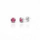 Celina round rose earrings in silver