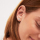 Arisa crystal earrings in gold plating cover