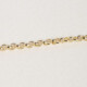 Gold-plated rolo chain of 45 cm cover