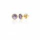 Basic XS crystal violet earrings in gold plating image
