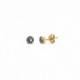 Celina round diamond earrings in gold plating image