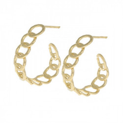 Omega chain earrings in gold plating.