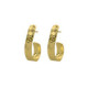 Arlene texture earrings in gold plating image