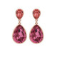 Essential rose earrings in rose gold plating image