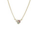 Nina pearl multicolour necklace in gold plating image