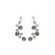 Combination bunch crystal earrings in silver image