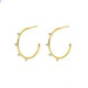 Iris crystal hoop earrings in gold plating image
