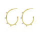 Iris crystal hoop earrings in gold plating image