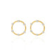 Iris round crystal earrings in gold plating
