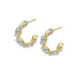 Arisa crystal curved earrings in gold plating image