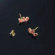 Las Estaciones climber light rose earrings in gold plating. cover