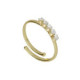 Eunoia gold-plated adjustable ring with crystal in mini zircons shape image