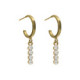 Well-loved gold-plated hoop earrings with white crystal in waterfall shape image