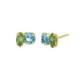 Belle gold-plated stud earrings with blue in combination shape shape image