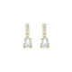 Eunoia gold-plated short earrings with crystal in mini zircons and teardrop shape image