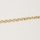 Gold-plated rolo chain of 50 cm + 4 extra cover