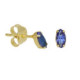 Bianca marquise sapphire earrings in gold plating image