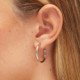 Medium hoop earrings in silver cover