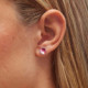 Basic rose earrings in silver cover