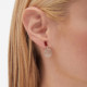 Scarlet flower scarlet earring in silver cover