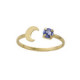 El Firmamento moon denim blue ring in gold plating image