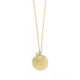 Mother powder rose necklace in gold plating image