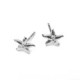 Bliss rhodium-plated starfish stud earrings image