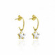 Celina star crystal hoop earrings in gold plating