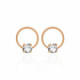 Pink Gold Earrings Hoop Basic
