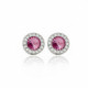 Premium circle rose earrings in silver image