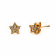 Pendientes pegados estrella con circonitas bañados en oro image