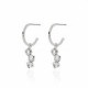 Caterina crystal hoop earrings in silver image