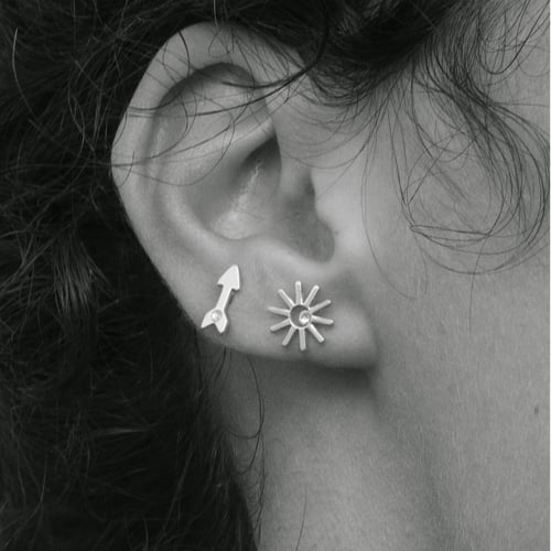 Areca cactus crystal earrings in silver