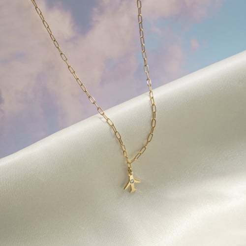 Dakota airplane crystal necklace in gold plating