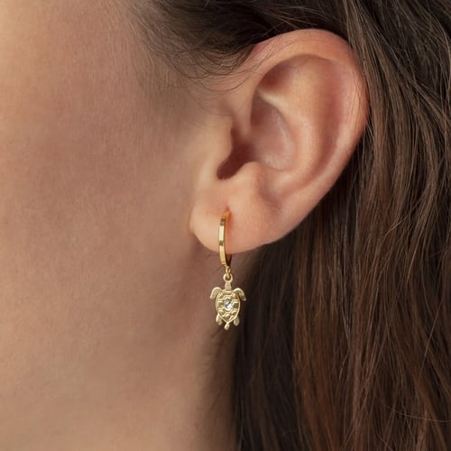 Cocolada turtle crystal earrings in gold plating