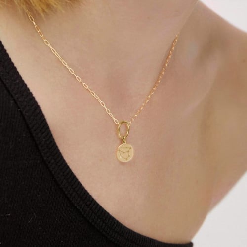 Zodiac capricorn crystal necklace in gold plating