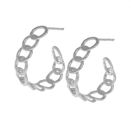Omega chain earrings in silver.