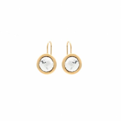 Edged hook crystal earrings in gold plating