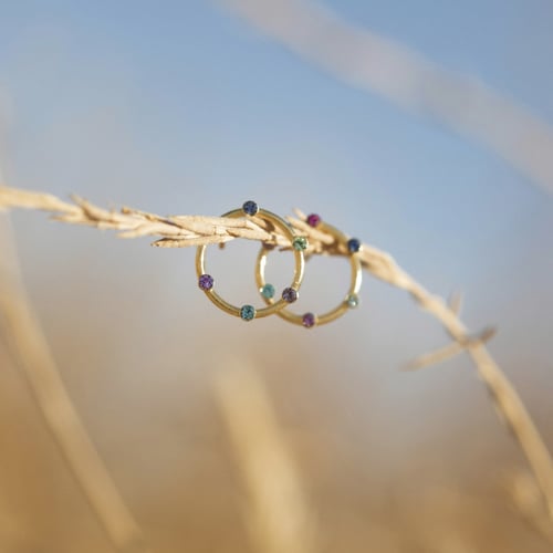 Iris round crystal earrings in silver