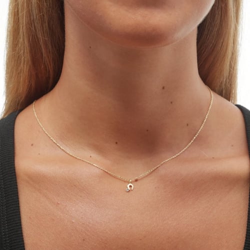 Celeste horseshoe crystal necklace in gold plating