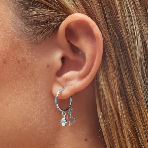 Vera butterfly crystal earrings in silver